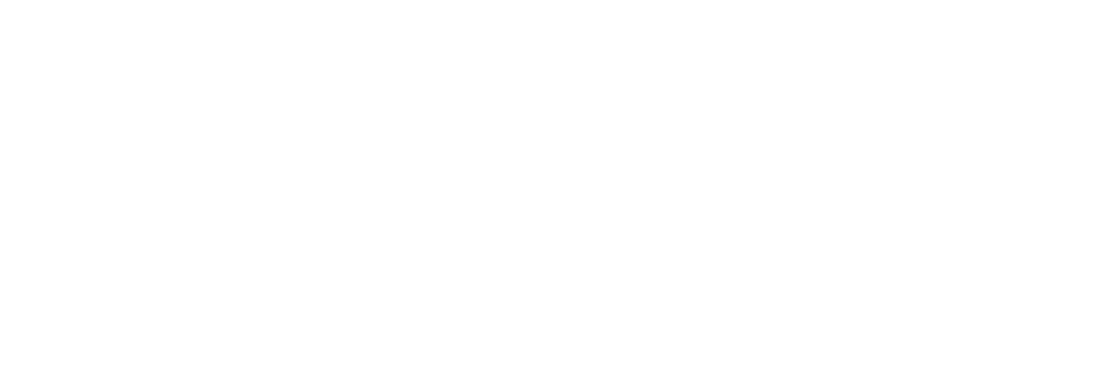 Imagine Models Logo